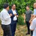 Biyolojik mücadele amacı ile parazitoit böcek salınımına başlandı