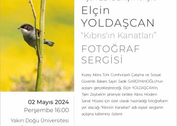 Kıbrıs’ın Kanatları sergisi YDÜ’de 2 Mayıs’ta ziyarete açılacak