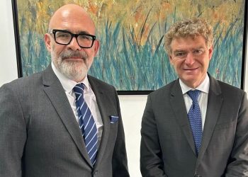 Cumhurbaşkanı Özel Temsilcisi Onar, Nava ile görüştü