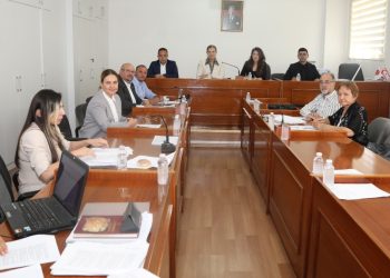 Ekonomi, Maliye, Bütçe ve Plan Komitesi “Kuzey Kıbrıs Muhasebe ve Denetim Meslek Yasa Tasarısı”nı görüştü