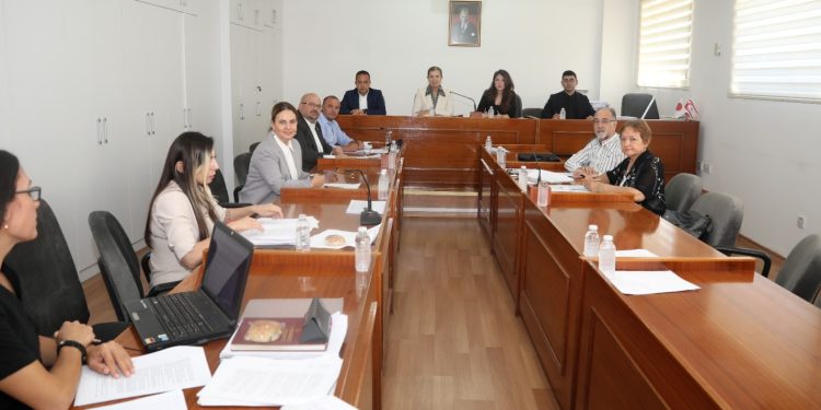 Ekonomi, Maliye, Bütçe ve Plan Komitesi “Kuzey Kıbrıs Muhasebe ve Denetim Meslek Yasa Tasarısı”nı görüştü