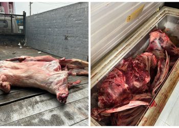 Gönyeli bölgesinde kasaplar ve şarküteriler denetlendi