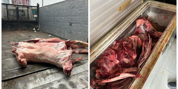 Gönyeli bölgesinde kasaplar ve şarküteriler denetlendi