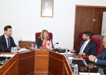 İdari, Kamu ve Sağlık İşleri Komitesi Başkanlığına UBP Milletvekili Sunat Atun seçildi