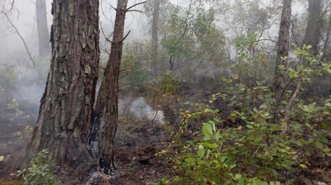 Antalya’da çıkan orman yangını kontrol altına alındı