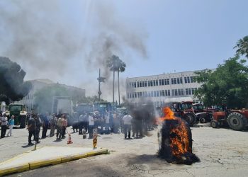Hayvan Üreticileri ve Yetiştiricileri Birliği yetkilisi Darbaz: Yolumuz uzun