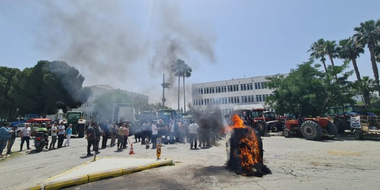 Hayvan Üreticileri ve Yetiştiricileri Birliği yetkilisi Darbaz: Yolumuz uzun