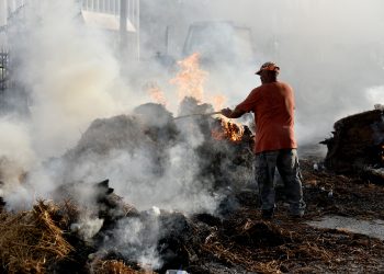 Hayvan Üreticileri ve Yetiştiricileri Birliği’nin Başbakanlık önündeki eylemi devam ediyor