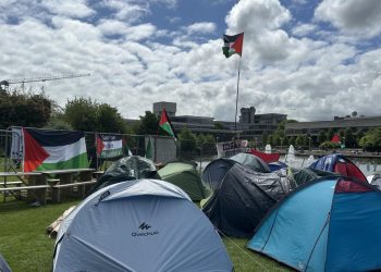 İrlanda'daki öğrencilerin Gazze'ye destek eylemleri devam ediyor