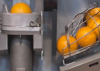 Cypfruvex, yurt dışından narenciye sıkma makinesi kiralıyor