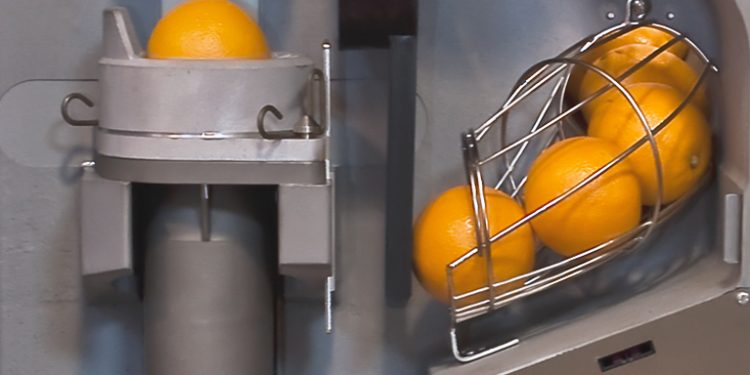 Cypfruvex, yurt dışından narenciye sıkma makinesi kiralıyor