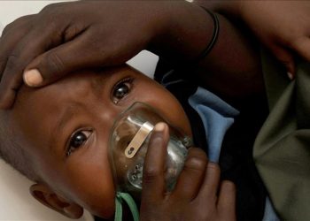 Nijerya'da Lassa salgını 4 ayda 156 can aldı