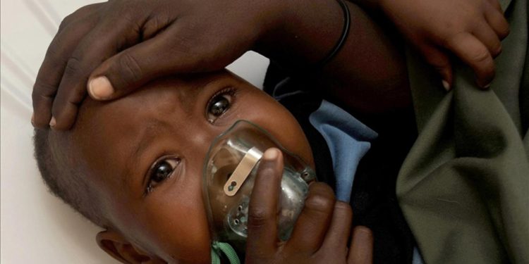 Nijerya'da Lassa salgını 4 ayda 156 can aldı