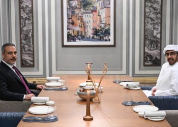 Fidan, BAE Devlet Başkanı Al Nahyan ile bir araya geldi