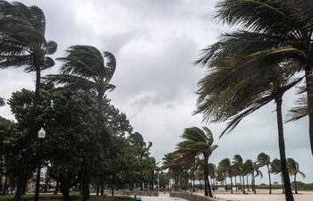 Meteoroloji Dairesi: Rüzgar şiddetini artırıyor. Fırtınamsı rüzgar bekleniyor