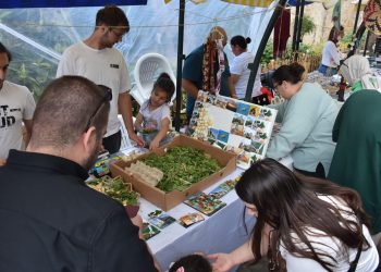 19. Kıbrıs İpek Koza Festivali sona erdi