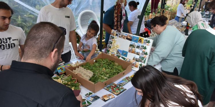 19. Kıbrıs İpek Koza Festivali sona erdi