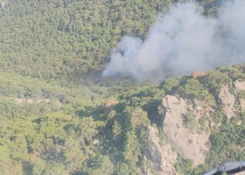 Antalya’da orman yangını