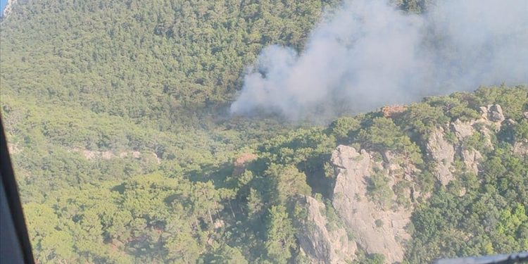 Antalya’da orman yangını