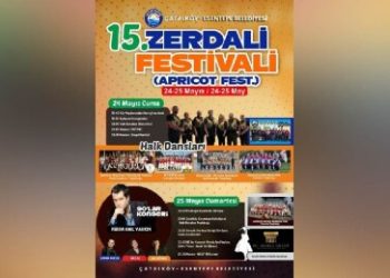 Geleneksel 15. Zerdali Festivali cuma ve cumartesi günleri yapılacak
