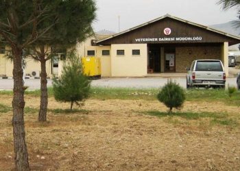 Et ithalatı… Veteriner Dairesi Müdürü Beyit: “KKTC’ye girişte resmi makamlar tarafından mühür açılarak, gerekli kontroller yapılacak”