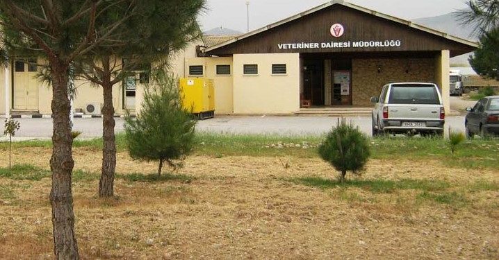 Et ithalatı… Veteriner Dairesi Müdürü Beyit: “KKTC’ye girişte resmi makamlar tarafından mühür açılarak, gerekli kontroller yapılacak”