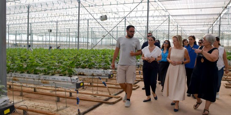 ABD Büyükelçisi Fisher, kadın girişimcilerin işletmelerini ziyaret etti