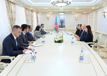Töre,Azerbaycan Milli Meclisi Başkanı Gafarova ile görüştü