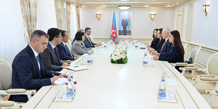 Töre,Azerbaycan Milli Meclisi Başkanı Gafarova ile görüştü