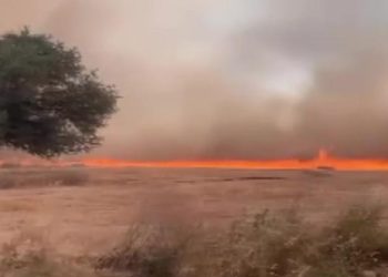 Çanakkale ve Elazığ’da çıkan yangınlara müdahale ediliyor