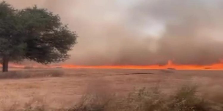 Çanakkale ve Elazığ’da çıkan yangınlara müdahale ediliyor