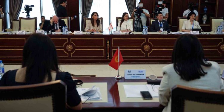 Altuğra, TÜRKPA Toplantısı’nda konuştu: “Türk Dünyası birlikte hareket ederek ambargolara dur diyebilir”