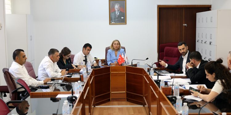 Meclis Hukuk Komitesi iki tasarı, bir karar önerisini görüştü