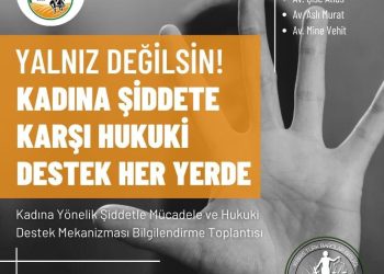 “Kadına Yönelik Şiddetle Mücadele ve Hukuki Destek Mekanizması” toplantıları yarın Akdoğan’la devam edecek