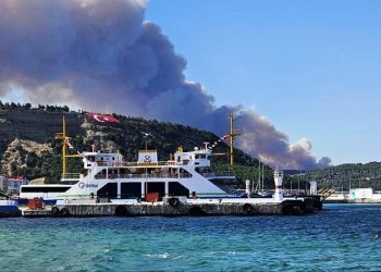 Çanakkale’de orman yangını