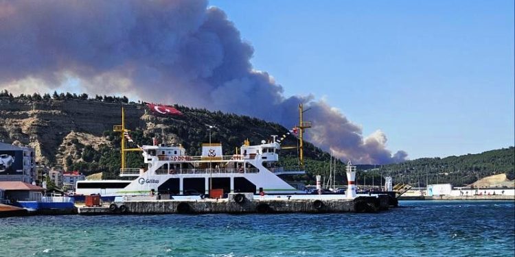 Çanakkale’de orman yangını