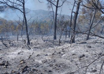 Yangın tamamen söndürüldü
