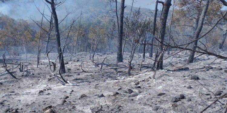 Yangın tamamen söndürüldü
