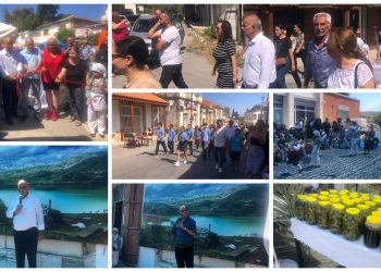 Lefke Ceviz Festivali başladı