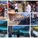 Lefke Ceviz Festivali başladı