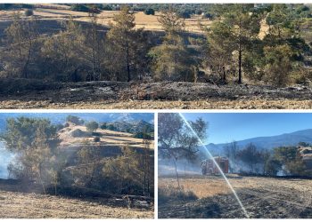 Ağıllar – Altınova köyleri arasındaa yangın