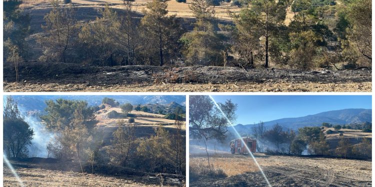 Ağıllar – Altınova köyleri arasındaa yangın