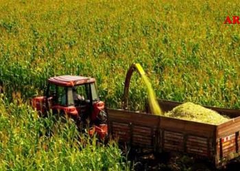 “Tohumluk Tahıl Ve İkinci Ürün Olarak Mısır Silaji Üretim Projesi” ilk hasadı yapıldı