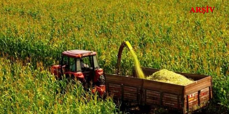 “Tohumluk Tahıl Ve İkinci Ürün Olarak Mısır Silaji Üretim Projesi” ilk hasadı yapıldı