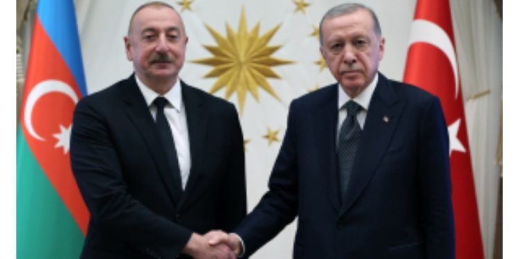 Erdoğan, Tatar’ın TDT Zirvesi’ne davet edilmesini değerlendirdi: “Kıbrıs davasına güç kattı”