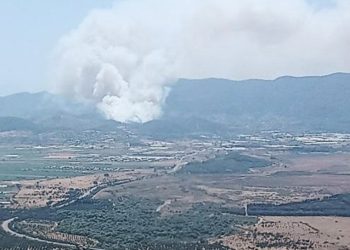 İzmir’de orman yangını