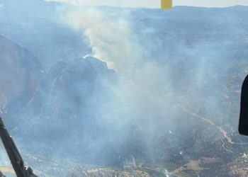 Mersin’de çıkan orman yangınına müdahale ediliyor