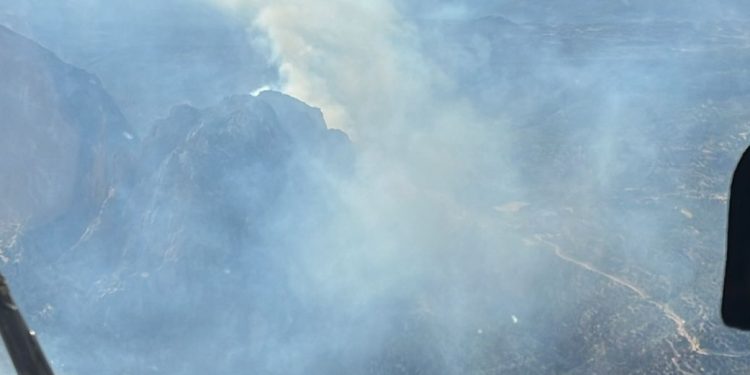 Mersin’de çıkan orman yangınına müdahale ediliyor