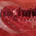 Ampute Milli Takımı, Avrupa şampiyonluğu için sahada