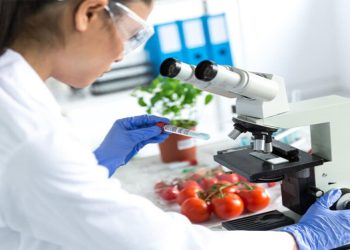 Yerli domates, çarli biber ve dolmalık biber ile ithal çarli biber ve golden elmada limit üstü bitki koruma ürünü…